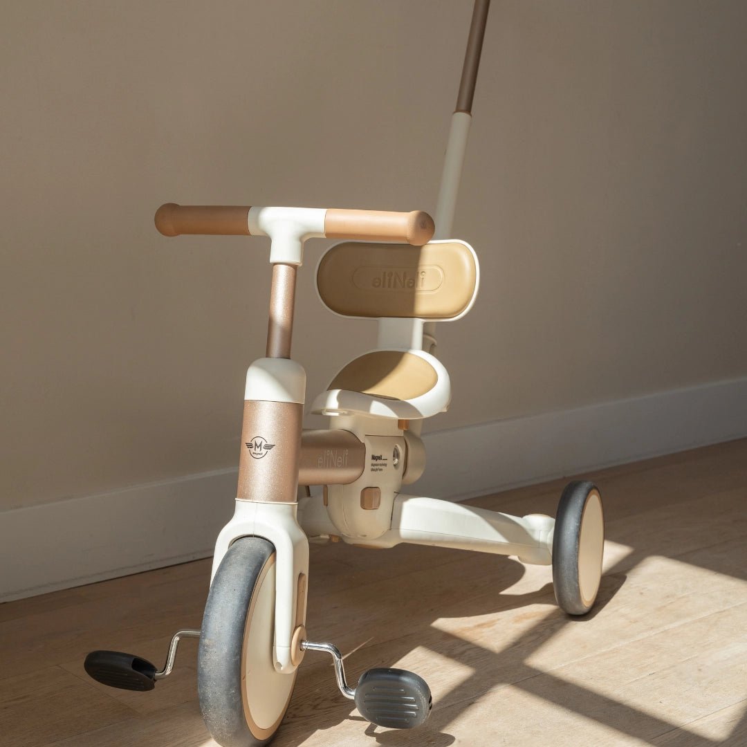 4 in 1 Driewieler met Duwstang en Loopfiets vanaf 18 Maanden - Baby Doo