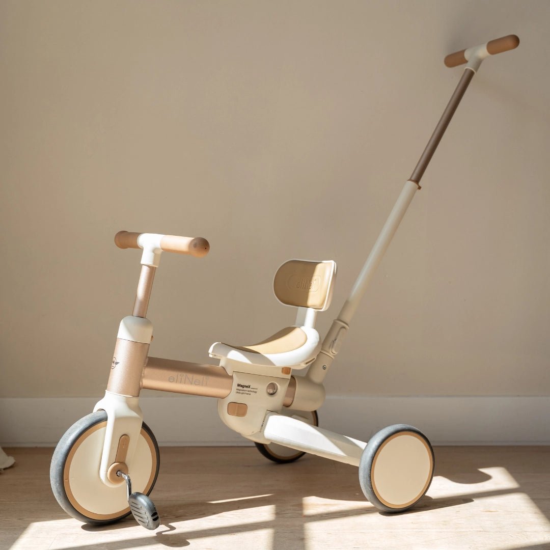 4 in 1 Driewieler met Duwstang en Loopfiets vanaf 18 Maanden - Baby Doo